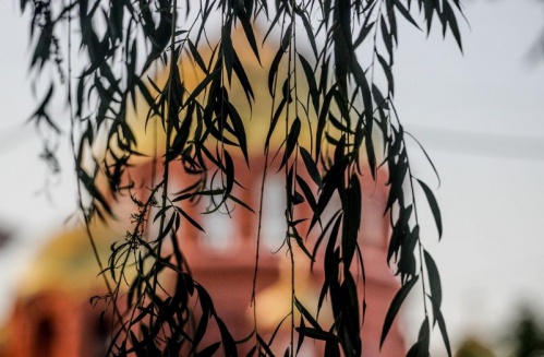 Волгоградская Горьковка приглашает совершить экскурсию по виртуальным выставкам