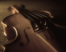 Концерт камерной музыки в музее Концерт камерной музыки в музее