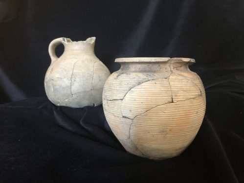 Волгоградскому краеведческому музею передадут уникальные артефакты