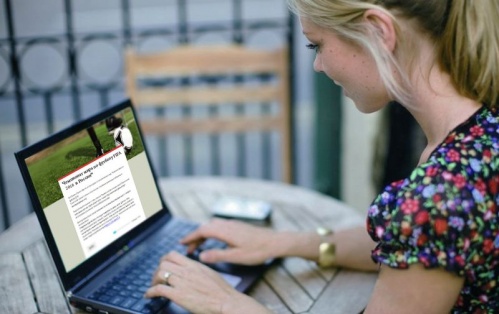 Волгоградцев попросили высказать свое мнение о ЧМ-2018