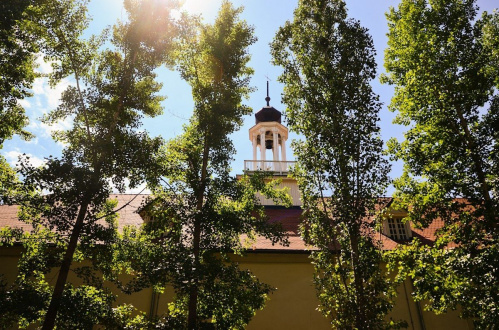 «Старая Сарепта» запустила новый проект «Не проспи лето»