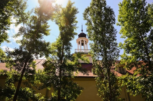 Селфи в музее