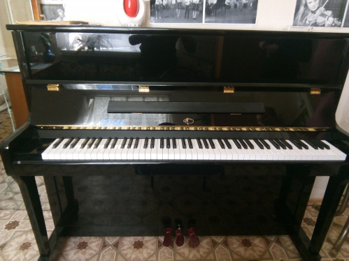 Детские школы искусств Волгоградской области безвозмездно получают музыкальные инструменты