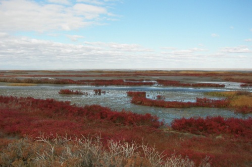 Туристическую привлекательность региона презентуют журналистам