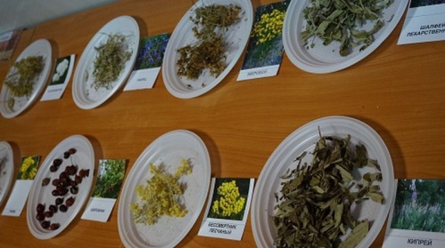 Волгоградские исследователи военной истории провели круглый стол