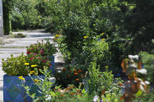 В Волгоградской детской библиотеке подвели итоги регионального эколого-краеведческого конкурса
