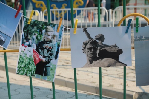 Волгоградцам предлагают выбрать лучшее фото
