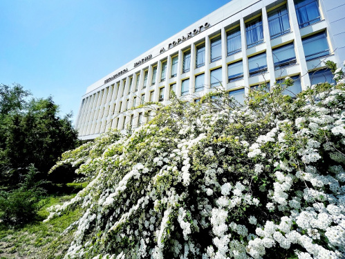 Волгоградская Горьковка выиграла миллионный грант