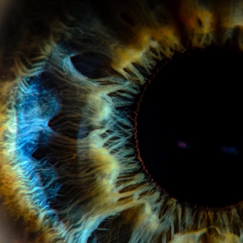 Музей Машкова представит космический перформанс