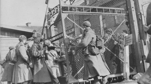 В Волгограде состоялись съёмки документального фильма о преступлениях нацистов