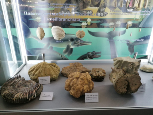 В Волгоградском краеведческом музее представят новые экспонаты