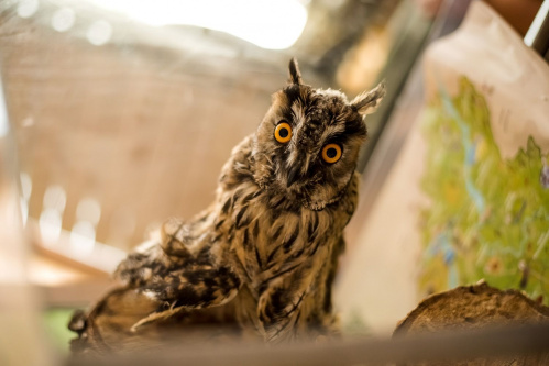 Волгоградская Горьковка отметила свой 121-й день рождения