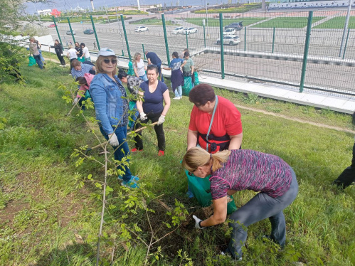 Сотрудники комитета культуры Волгоградской области внесли свой вклад в наведение порядка