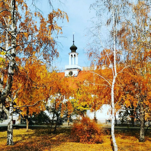В «Старой Сарепте» открывается органный сезон В «Старой Сарепте» открывается органный сезон