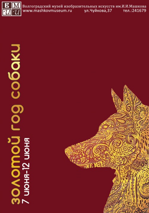 Известные волгоградцы привлекают внимание к брошенным животным