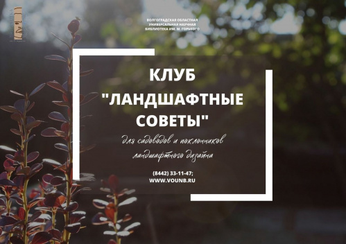 В Волгоградской Горьковке открылся клуб «Ландшафтные советы»