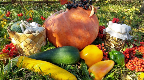 Волгоградский краеведческий музей запускает конкурс «Покровская ярмарка»