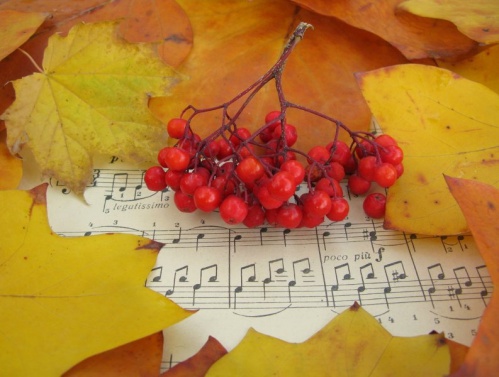 Волгоградские учреждения культуры отмечают День музыки