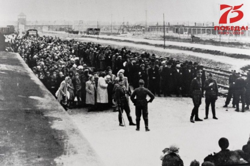 В Волгоградской библиотеке имени Горького расскажут о концлагере «Аушвиц» В Волгоградской библиотеке имени Горького расскажут о концлагере «Аушвиц»
