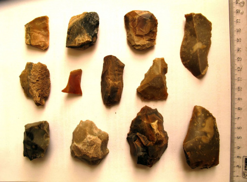 Во Фролово начались археологические исследования с участием специалистов «Старой Сарепты»