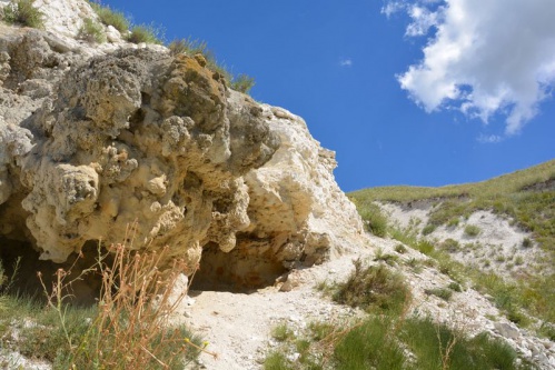 В «Старой Сарепте» познакомят с подземными мирами