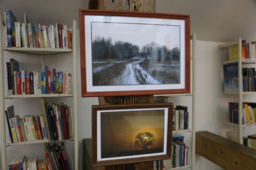 В Волгограде открылась фотовыставка о природе Сарпинского