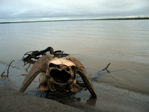 «Старая Сарепта» расширяет профессиональное сотрудничество