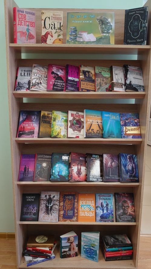В библиотеку Урюпинска поступили новые книги