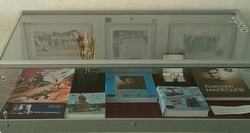 В Камышине можно пройти тропой Алексея Маресьева