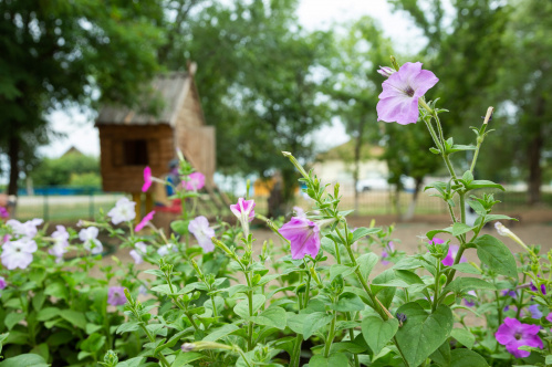 В Котельниковском районе отремонтирован сельский дом культуры