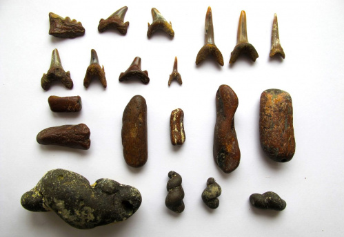 Коллекция «Старой Сарепты» пополнилась ценными экспонатами