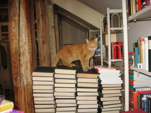 В музее-заповеднике «Старая Сарепта» прошли съёмки  «Первого канала»