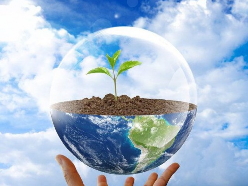 В Волгоградском регионе впервые проходит конкурс сценариев на экологическую тему