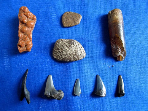 Сотрудники «Старой Сарепты» сделали ценные находки