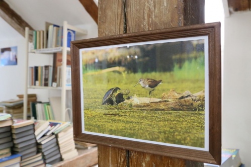 В «Старой Сарепте» открылась фотовыставка об острове Сарпинском