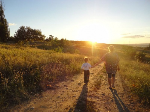 Подведены итоги фотоконкурса о Волгоградской области
