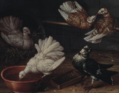 Как увидеть видимое