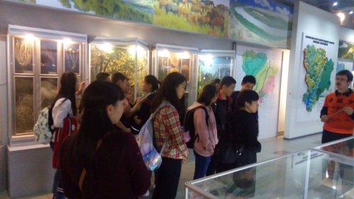 В Волгоградском краеведческом музее проходят экскурсии на иностранном языке