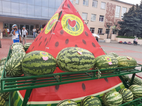 В Камышине провели Арбузный фестиваль в новом формате