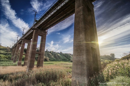 В Волгограде возобновлены археологические раскопки на палеолитической стоянке Сухая Мечетка