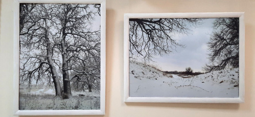 В «Старой Сарепте» показывают «Зимнюю сказку»