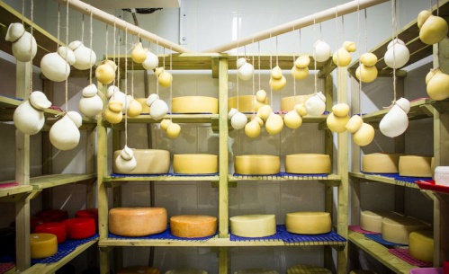 В Волгоградской области развивается эногастрономический туризм