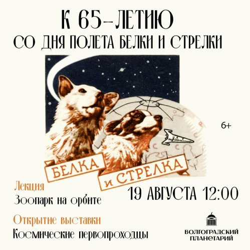 В Волгоградском планетарии откроется выставка к 65-летию полёта Белки и Стрелки