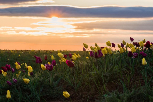 Подведены итоги VII регионального конкурса «Волгоградская область в фотообъективе»