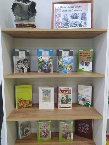 В Иловлинской детской модельной библиотеке рассказали о пионерах-героях