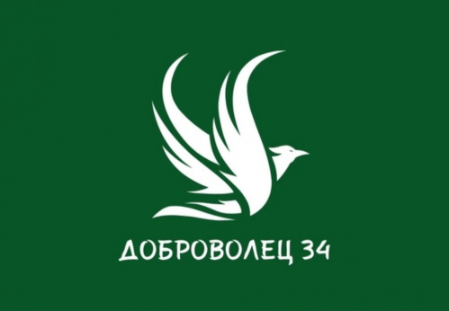 Руководитель центра «Волонтёры культуры» стала экспертом конкурса «Доброволец 34»
