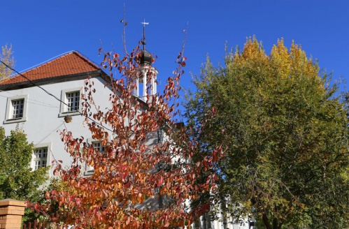 Музей «Старая Сарепта» и Институт истории материальной культуры стали партнёрами