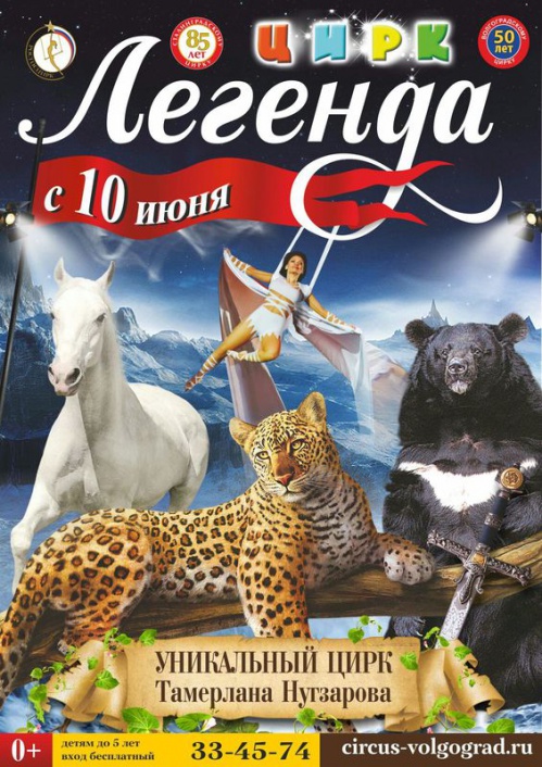 Цирк приглашает на открытую репетицию