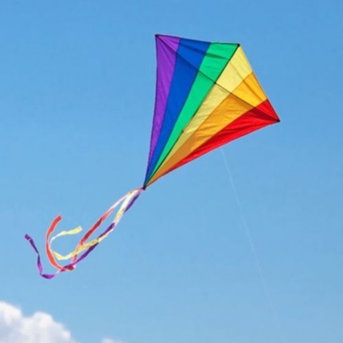 В Волжском состоится фестиваль воздушных змеев