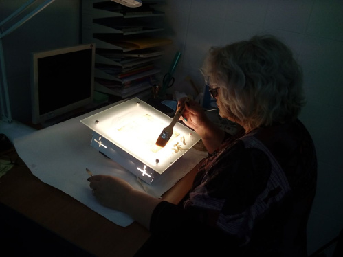 Музей Машкова представит новый формат экскурсий